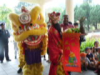 CNY Acrobatic Lion Dance Performance